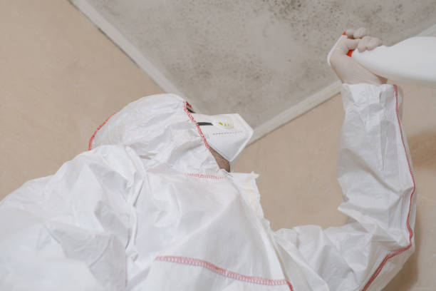 Best Mold Cleaning Services  in Birdsboro, PA