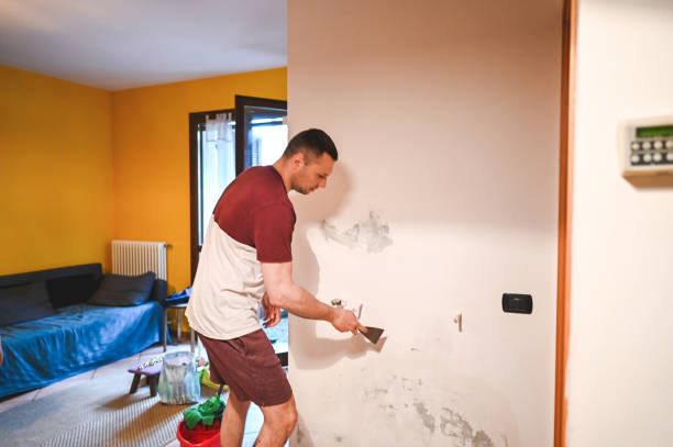 Mold Testing and Removal in Birdsboro, PA